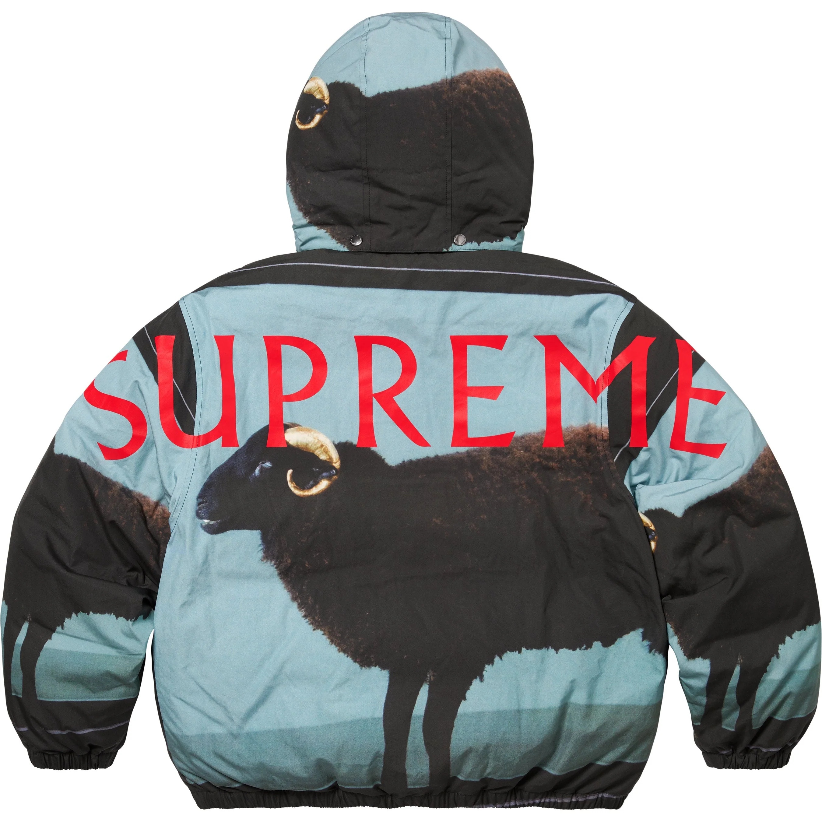 Supreme/Damien Hirst Down Puffer Jacket view 9